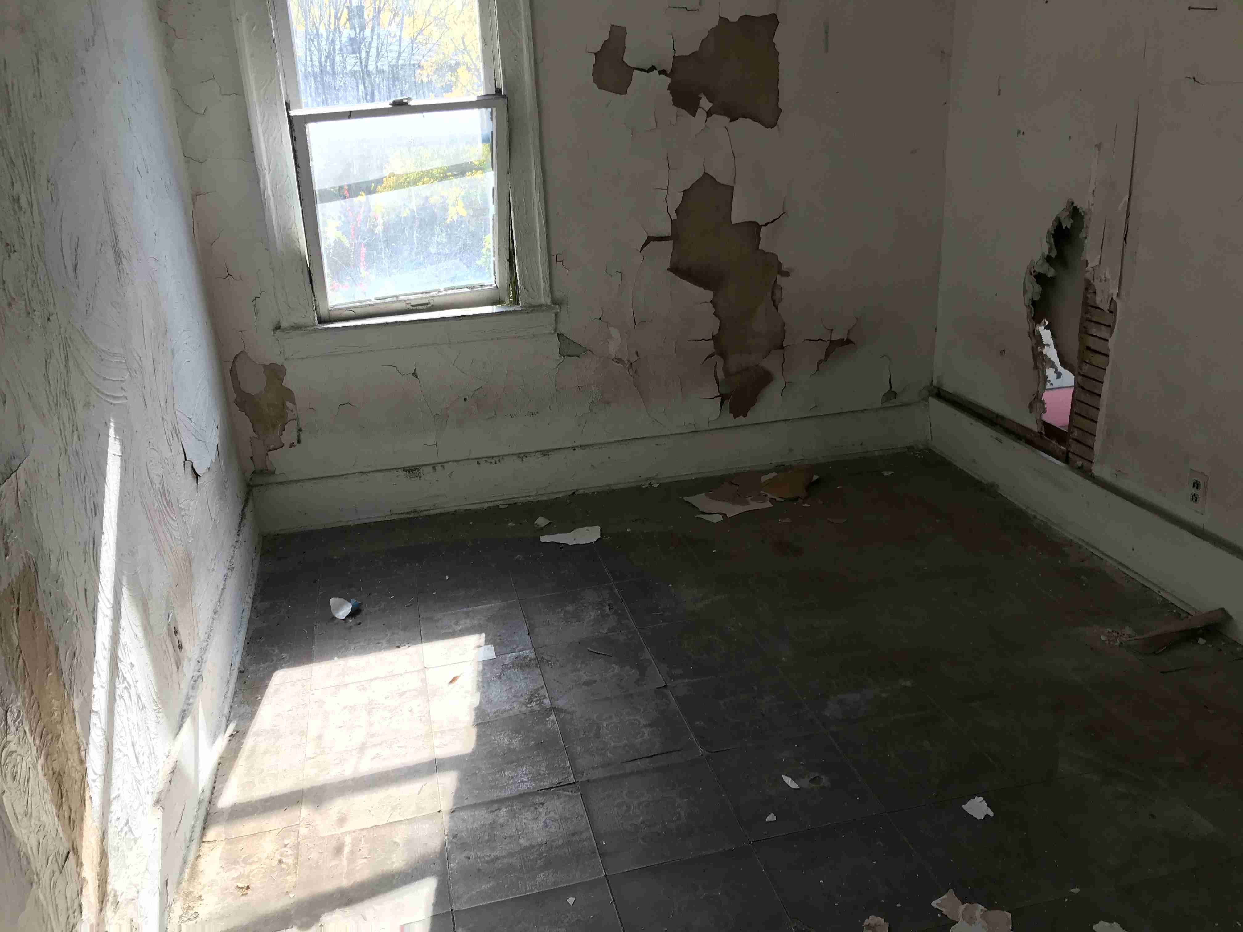 Photo Oct 13, 12 33 24 PM.jpg